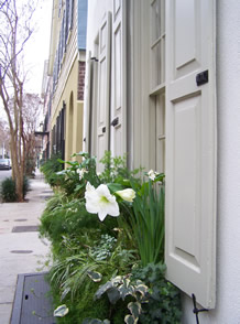 flowersvert