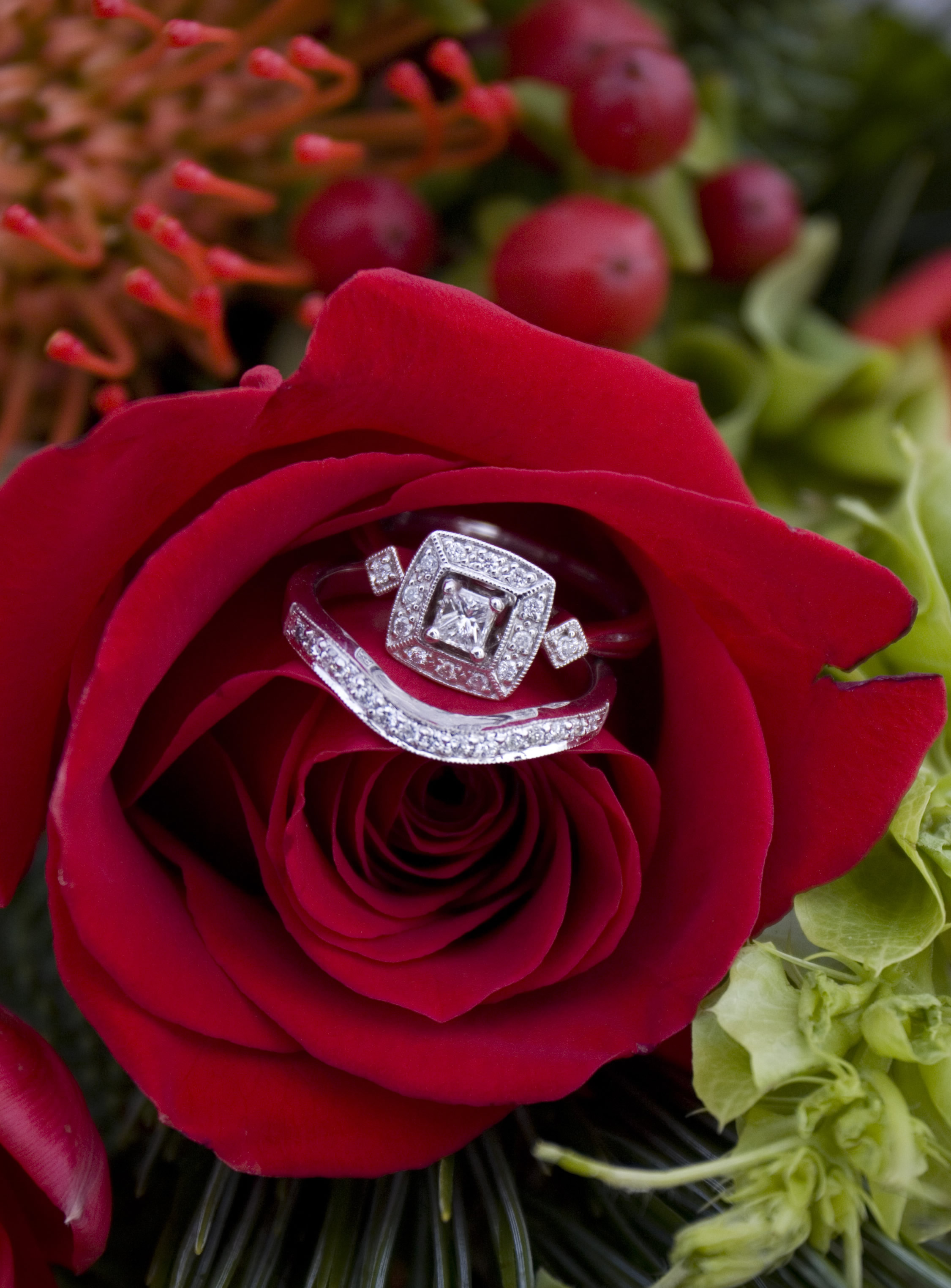 rose